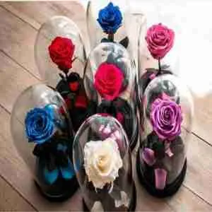Rosas Preservadas
