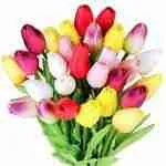 Tulipanes