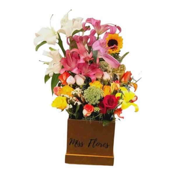 #801 Caja Colorful