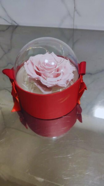 #703 Rosa preservada - Imagen 3