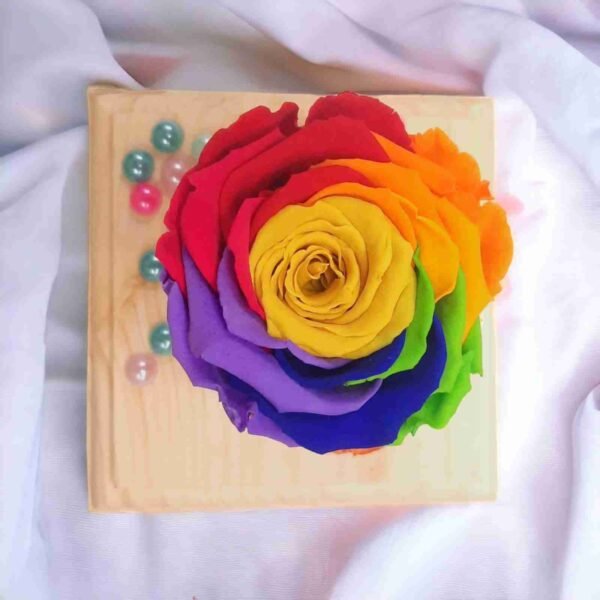 #917 Rosa arcoíris preservada - Imagen 3