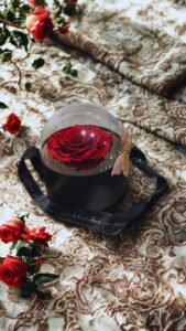 #703 Rosa preservada