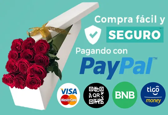 Metodos de pago Miss Flores - PayPal, Visa, Mastercard, QR, BNB, Tigo Money