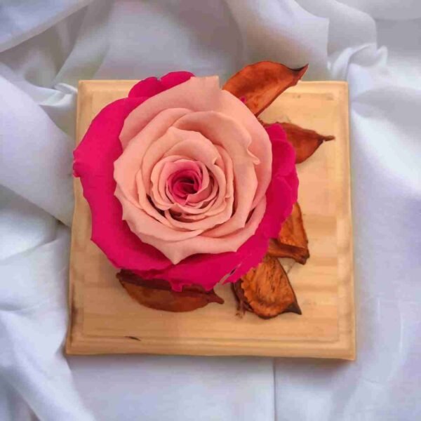 #916 Rosa rosada preservada - Imagen 3