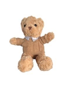 #33 PELUCHE DE OSITO CON CAMISA Y CHOMPITA