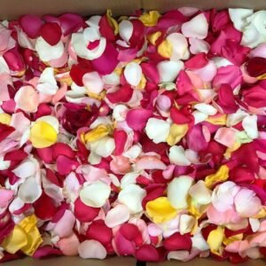 Petalos de Flores colores surtidos Bolsa Pequeña blanca 17*34 cm