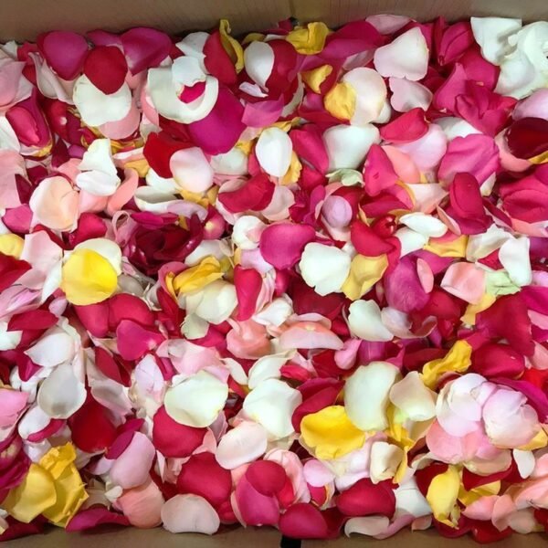 Petalos de Flores colores surtidos Bolsa Grande 35*65 cm