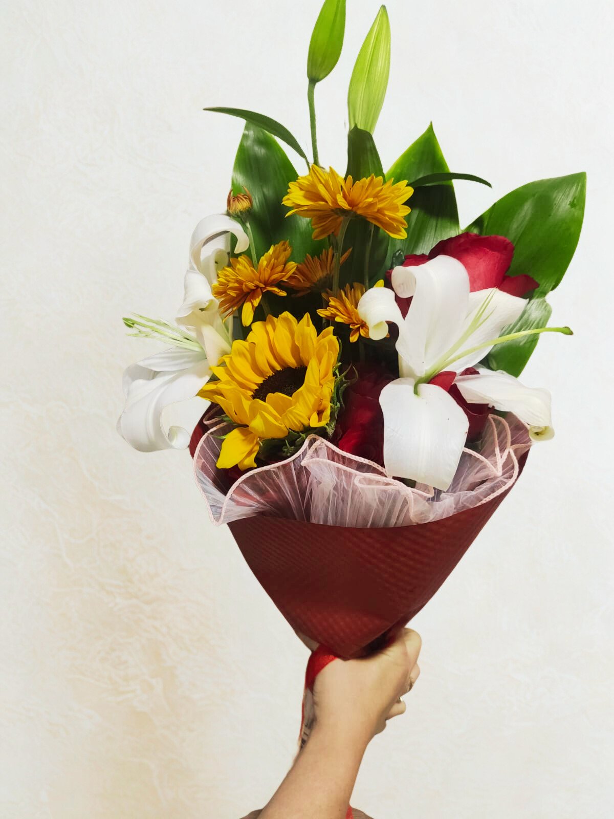 14-FEB ¨NOBLE CONTRASTE¨