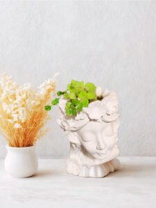 # 331 La Maceta Serenidad Clásica